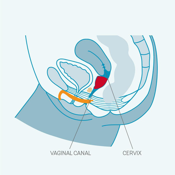 Body-Safe Menstrual Cup